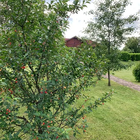 Family Trapisti וילה *