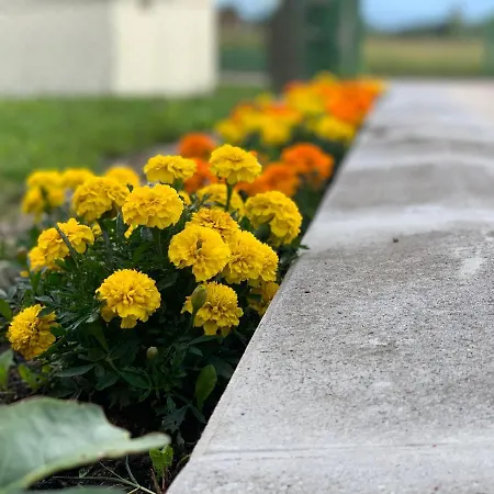 Family Trapisti באניה לוקה